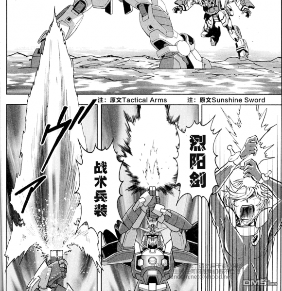 文件:战术兵装 灿阳剑.jpg