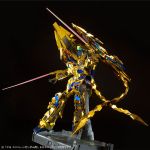 PG Phenex NT Ver official 5.jpg