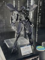 FM Graze Ein Expo 2.jpg
