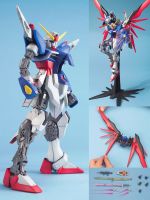 Mg101素组图6.jpg