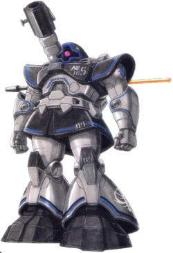 MS-09大魔寒冷地带式样