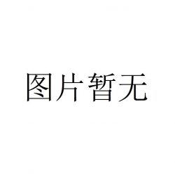 多米托利·奥勃洛莫夫.jpg