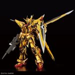 RG Akatsuki Zeus Gbase official 4.jpg