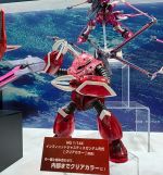 HGCE ZGok SEED FREEDOM Ver Clear Color Expo 2.jpg