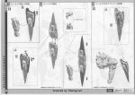 P12 cm0034.JPG
