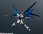 GU Freedom Gundam Renewal official 6.jpg
