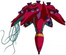 XMA-01拉芙蕾西亚