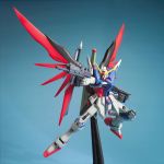 Mg101素组图4.jpg