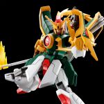 HGFC Dragon Gundam official 1.jpg