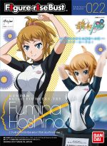 FRBust Fumina Hoshino ED Ver Boxart.jpg
