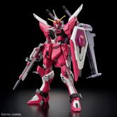 HGCE Infinite Justice Type II Front.jpg
