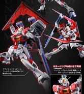 Force Impulse Gundam 镖.jpg