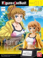 FRBust Fumina Hoshino Boxart.jpg