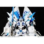 RG Unicorn Gundam Perfectibility BD Box Ver official 2.jpg