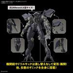 FM Graze Ein official 4.jpg