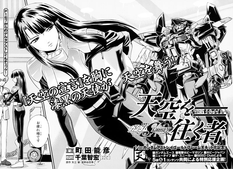 GUNDAM SEED DESTINY ASTRAY 天空を往く者.jpg