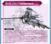 Gundam Astraea Proto High Mega PAO.jpg