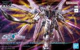 Mighty Strike Freedom Gundam HGCE.jpg