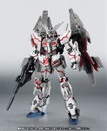RS Phenex type RC DM official 3.jpg