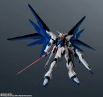 GU Freedom Gundam Renewal official 5.jpg