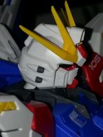 BuildStrikeGundam素组图3.jpg