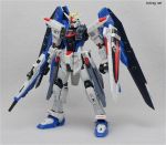 RGZGMF-X10A自由高达.jpg