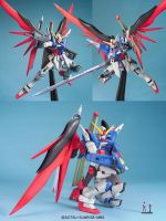 Mg101素组图5.jpg