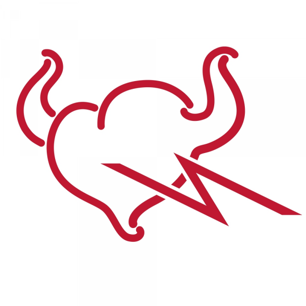 文件:Tamashii Nations White Logo 1000x1000.png
