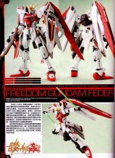 Freedom Gundam Feder.jpg