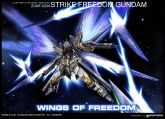 Wings of Freedom.jpg