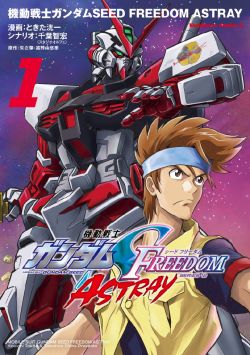 Mobile Suit Gundam SEED FREEDOM ASTRAY.jpg
