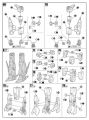 2020年2月12日 (三) 14:42版本的缩略图