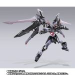 MB Strike Noir Gundam 20th Memorial Color official 1.jpg