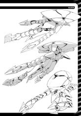 EMA-11施瓦因（3）.jpg