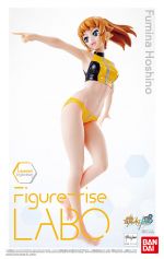 FRLabo Fumina Hoshino Boxart.jpg