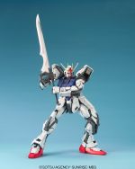 PG Strike Gundam official 11.jpg