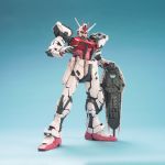 PG Strike Rouge Skygrasper official 12.jpg