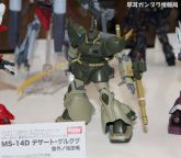 MS-14D 沙漠型勇士2.jpg