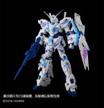 RG Unicorn Gundam Bilibili 10th Ver official 1.jpg