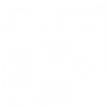 火炬队标.png