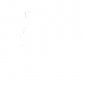 飓风突击队队标.png
