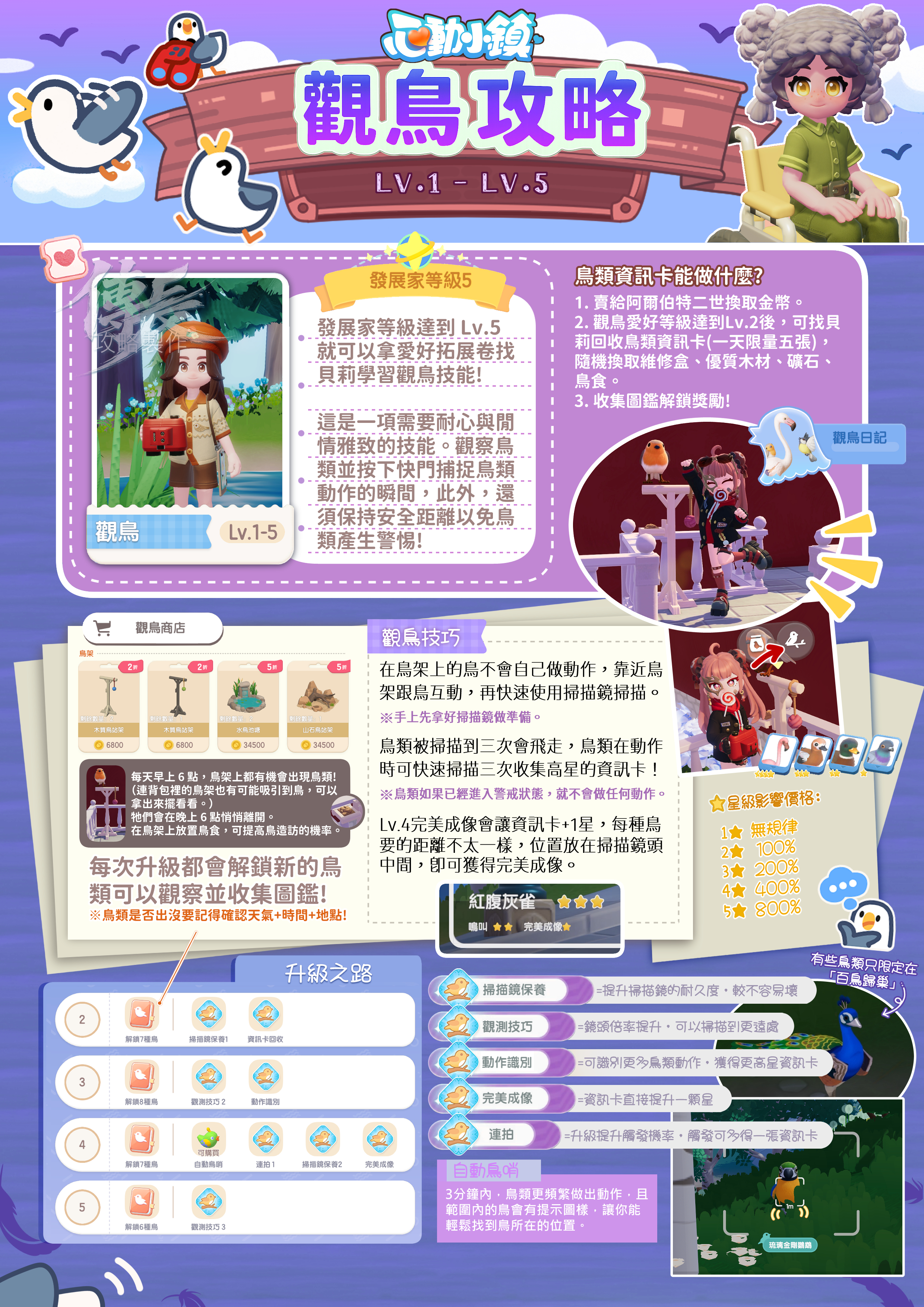 觀鳥攻略.jpg