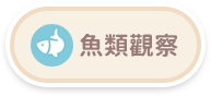 魚類觀察-button.png