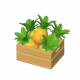 鳳梨-icon.png
