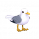 海鷗-icon.png