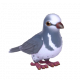 巨地鳩-icon.png