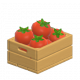 番茄-icon.png