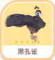 黑孔雀-icon.png