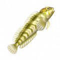 河䲁