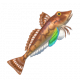 細鱗綠鰭魚-icon.png